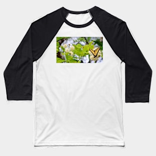 Butterfly On Buttonbush Baseball T-Shirt